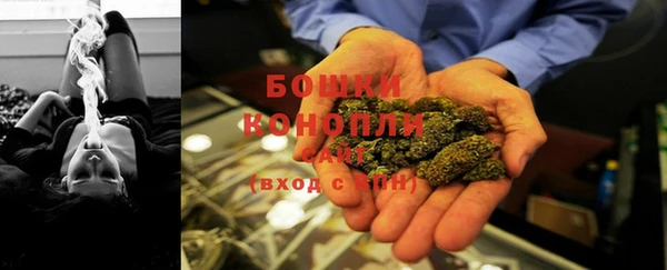 прущая мука Нея