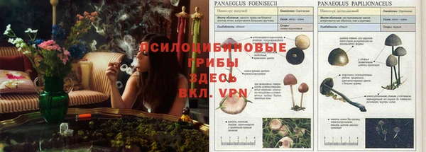 спайс Нефтекумск
