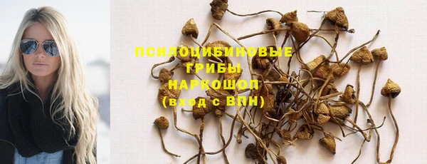 дживик Нефтегорск